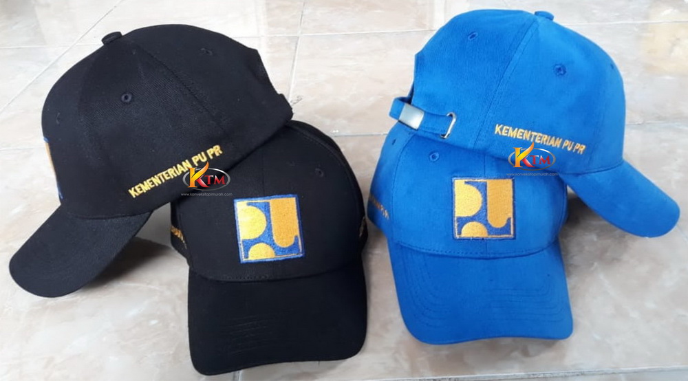 Topi